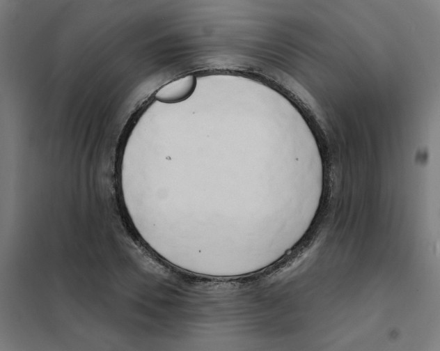 X0000101700930200808071155