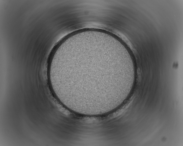 X0000101700931200808071155