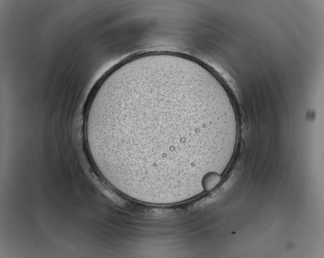 X0000101700933200808071155