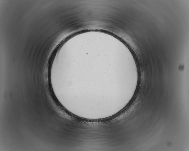 X0000101700934200808071155