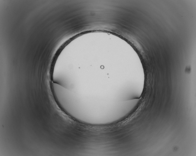 X0000101700936200808071155