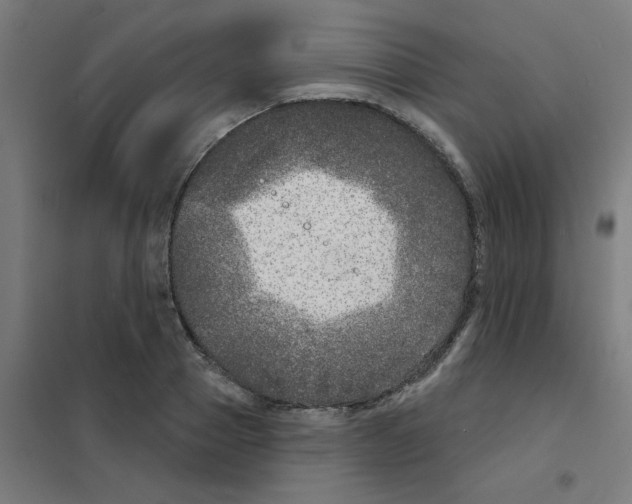 X0000101700937200808071155