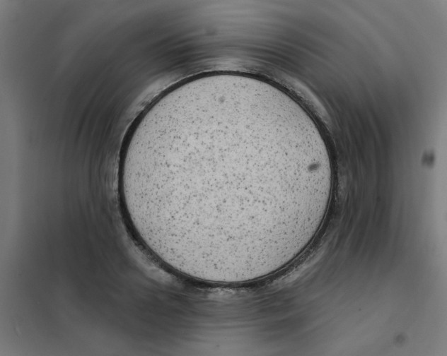 X0000101700938200808071155