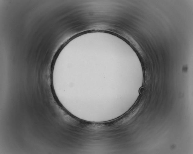 X0000101700939200808071155
