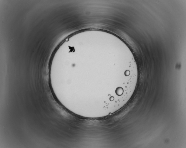 X0000101700940200808071155