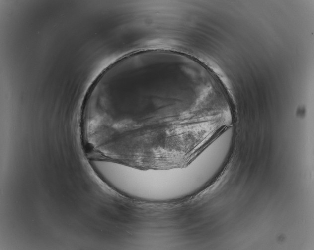 X0000101700941200808071155