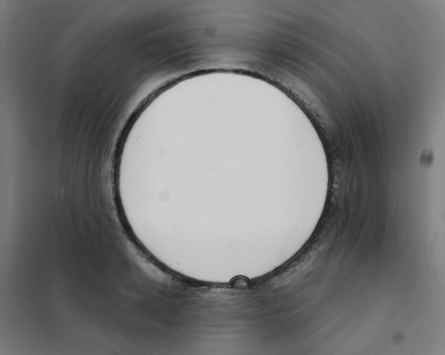 X0000101700942200808071155