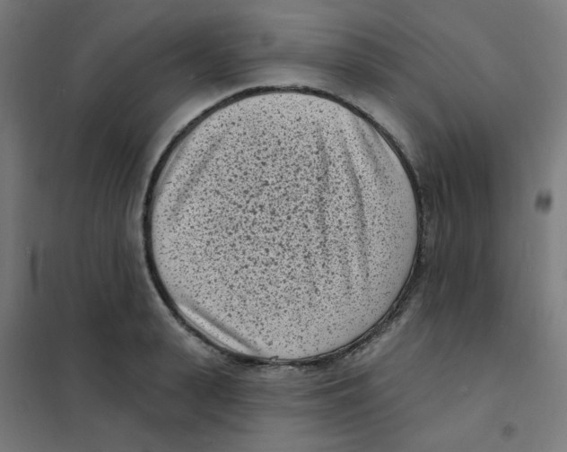 X0000101700943200808071155