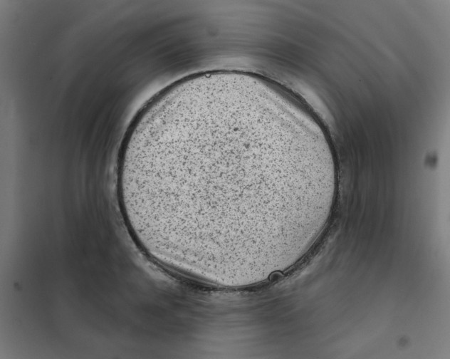 X0000101700944200808071155