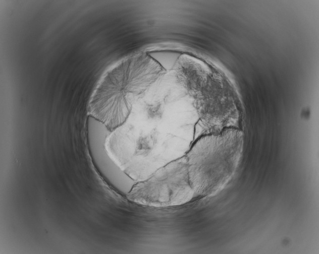 X0000101700945200808071155