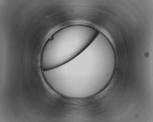 X0000101700946200808071155