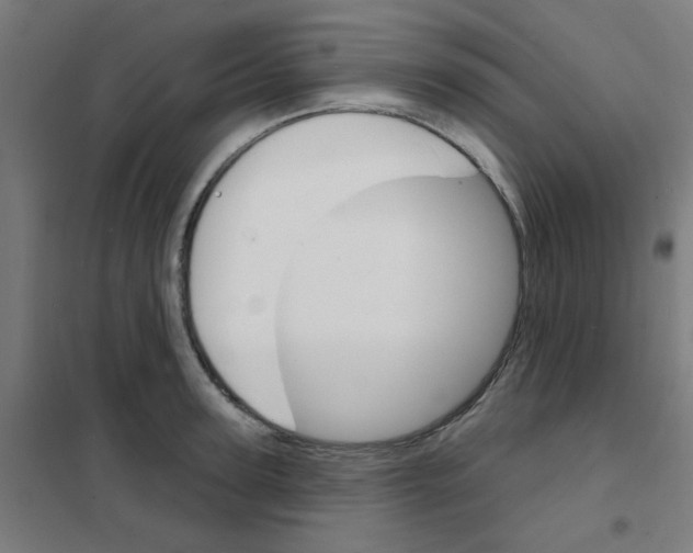 X0000101700947200808071155