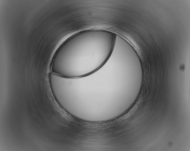 X0000101700948200808071155
