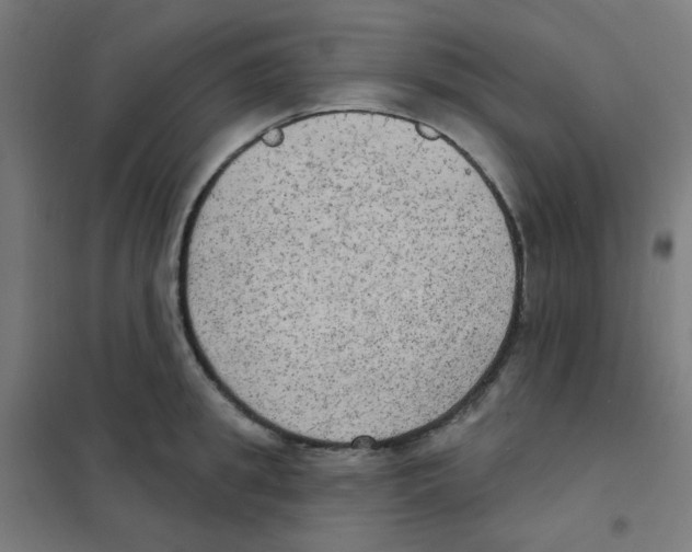 X0000101700949200808071155
