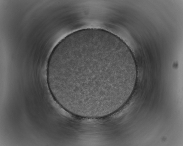 X0000101700950200808071155