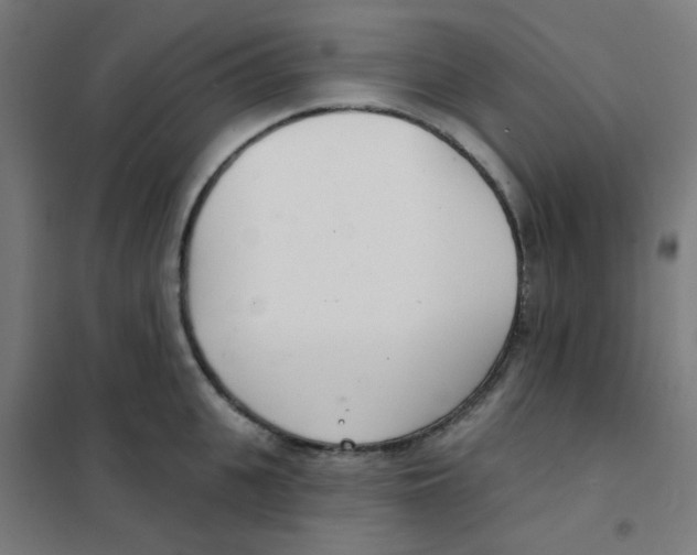 X0000101700951200808071155
