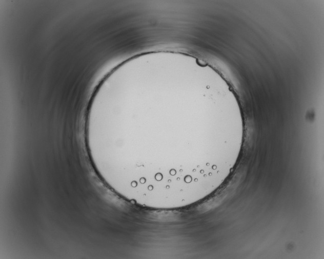 X0000101700952200808071155