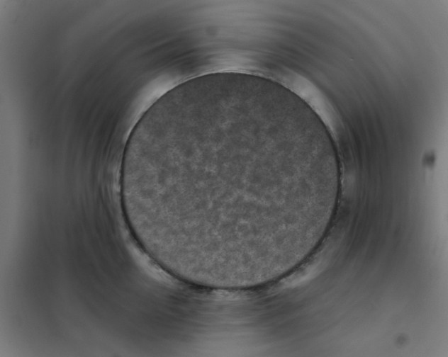 X0000101700954200808071155