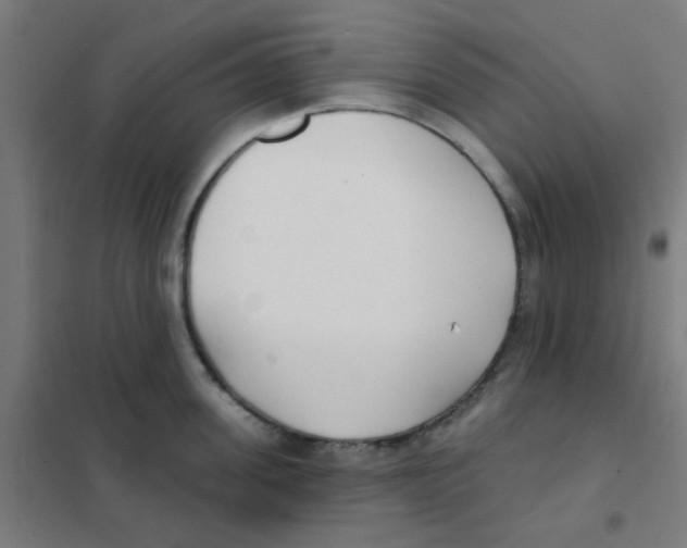 X0000101700955200808071155
