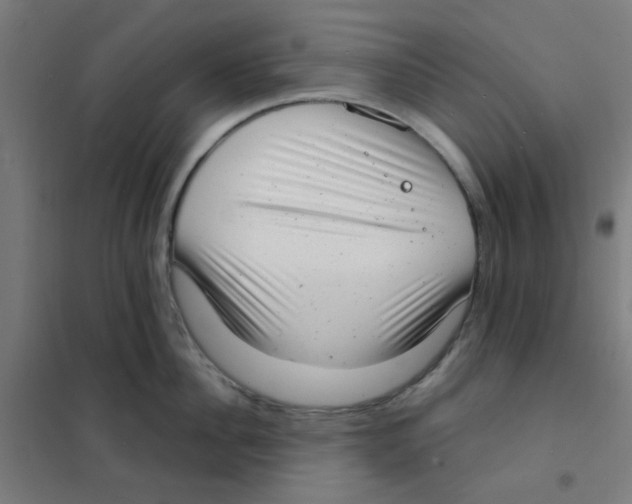 X0000101700956200808071155