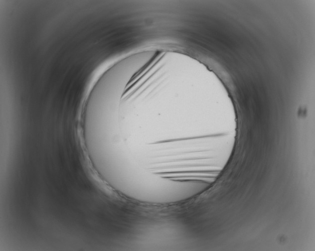 X0000101700960200808071156