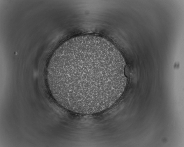 X0000101700961200808071155