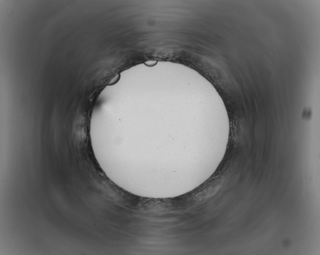 X0000101700962200808071155