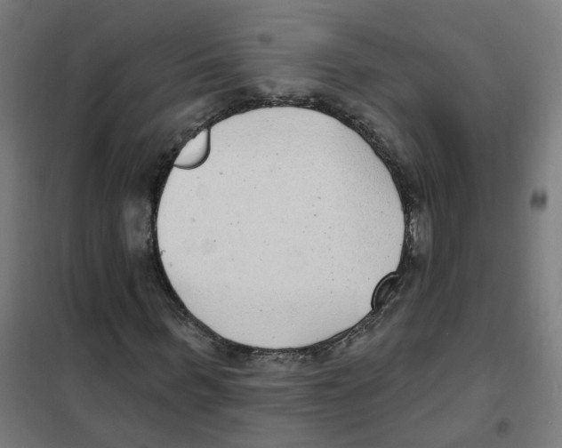 X0000101700963200808071155