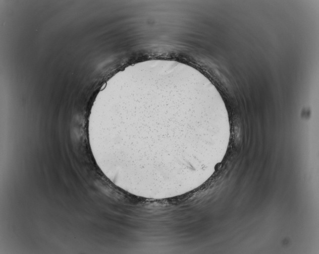 X0000101700964200808071155