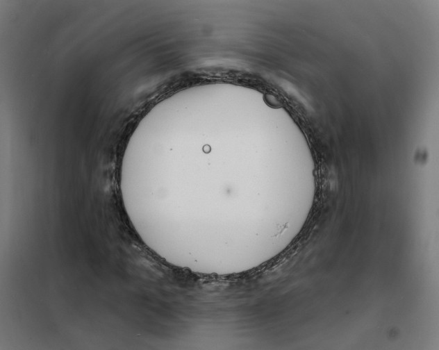 X0000101700965200808071155