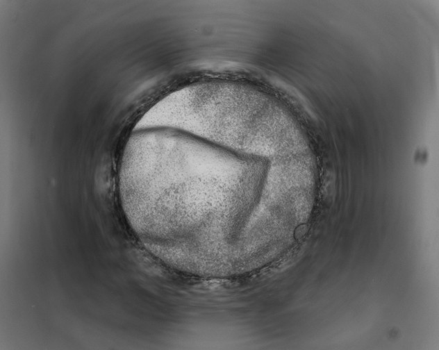 X0000101700966200808071155