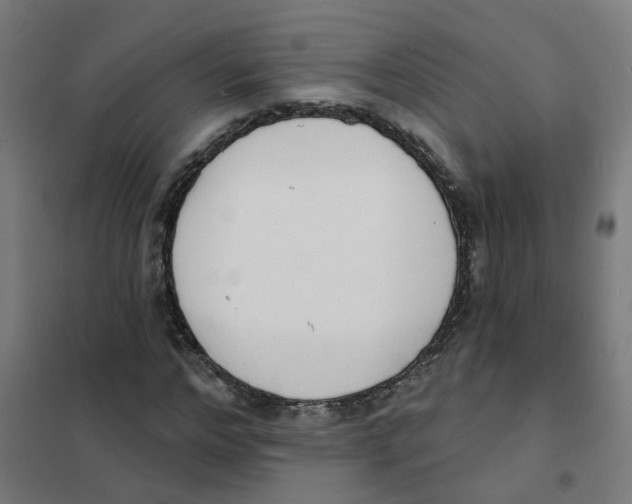 X0000101700968200808071155