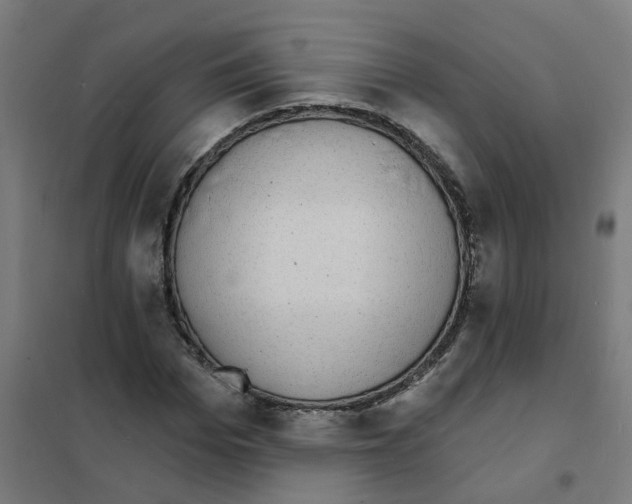 X0000101700969200808071155