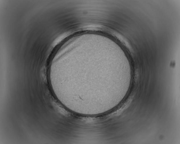 X0000101700970200808071155