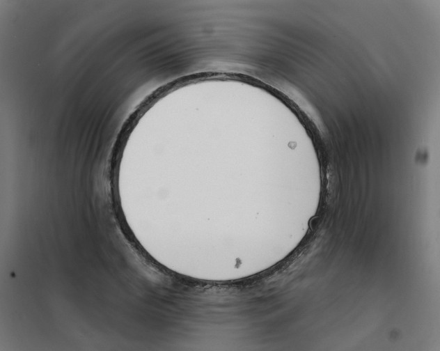 X0000101700972200808071155
