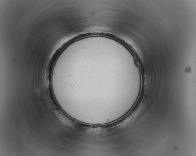 X0000101700973200808071155