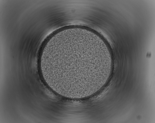 X0000101700975200808071155