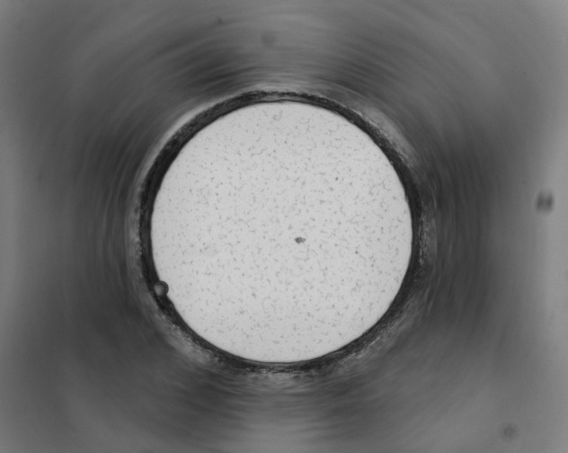 X0000101700976200808071155