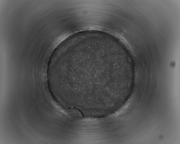X0000101700977200808071155