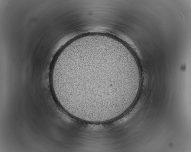X0000101700978200808071155