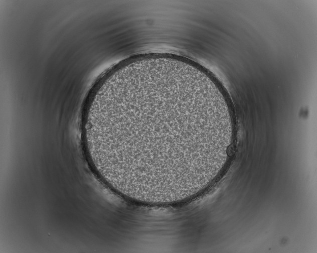 X0000101700979200808071155