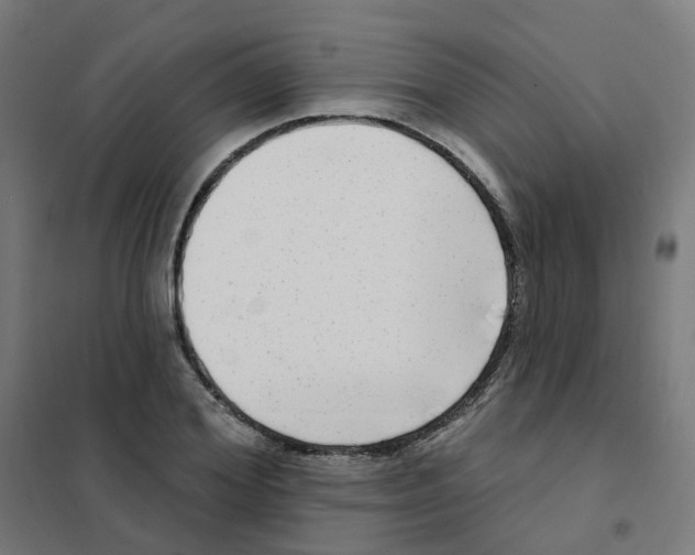 X0000101700980200808071155