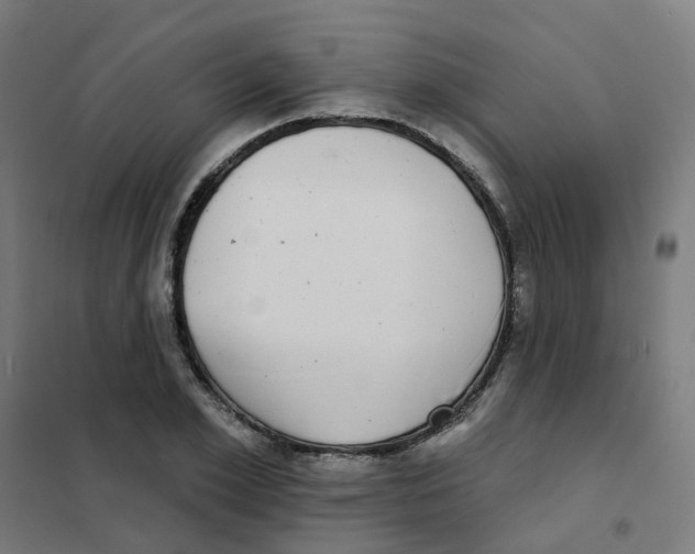 X0000101700981200808071155