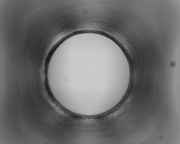 X0000101700982200808071155
