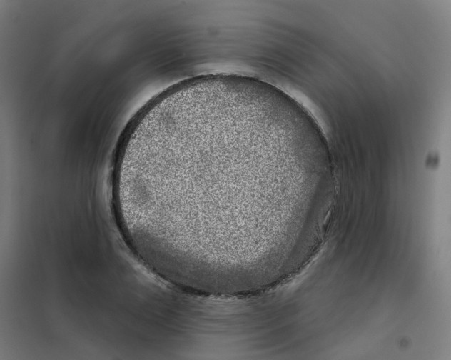 X0000101700983200808071155