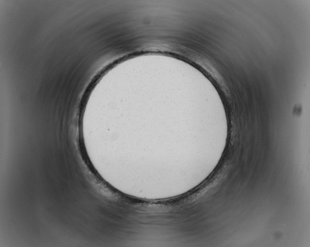 X0000101700984200808071155