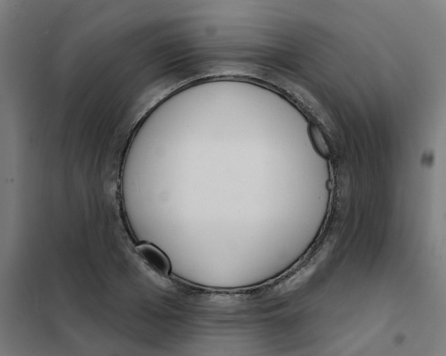 X0000101700985200808071155