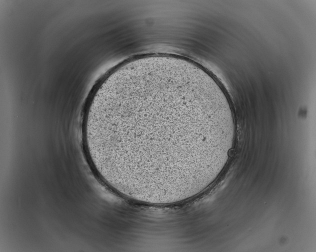 X0000101700987200808071155