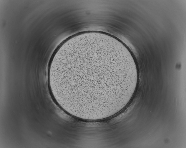 X0000101700988200808071154