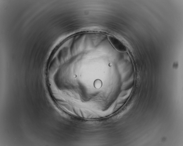X0000101700989200808071154